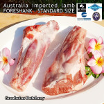 Lamb shank FORESHANK frozen Australia WAMMCO (price/pack 1kg 2pcs)